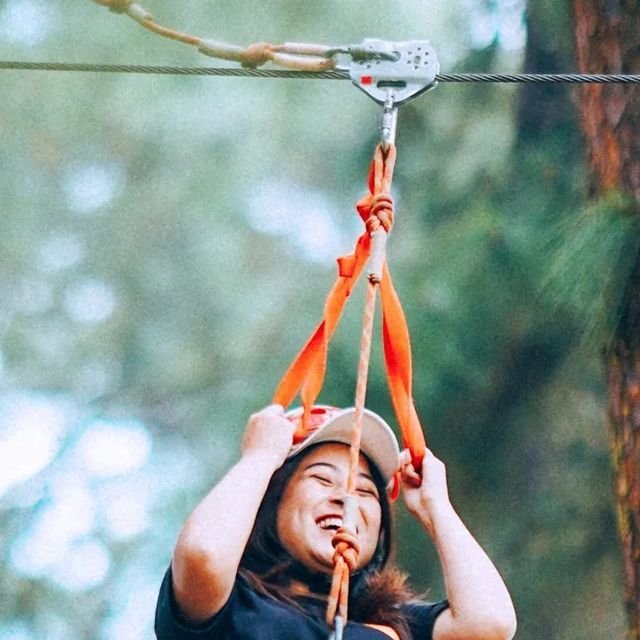 download (11)